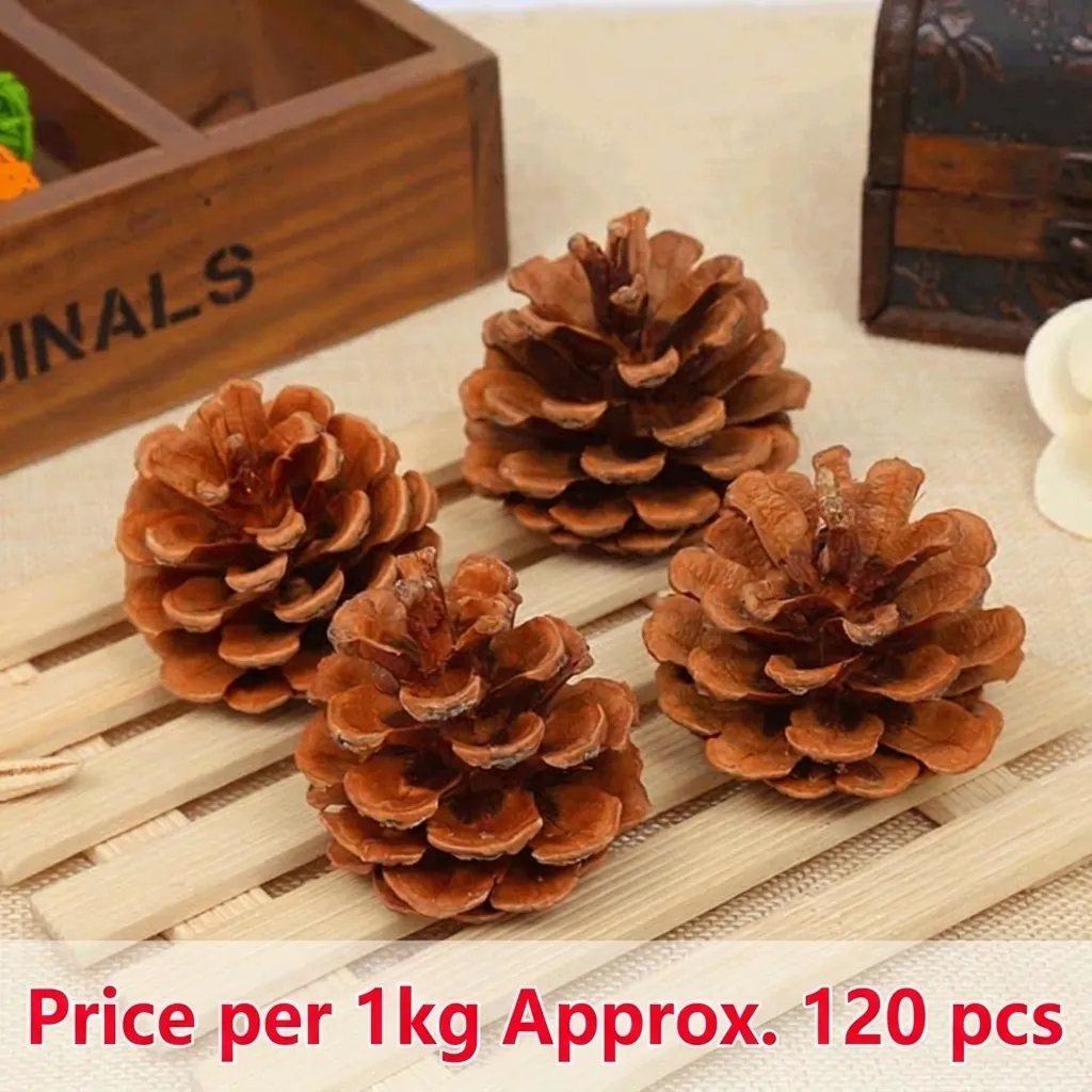 Natuurlijke Gedroogde Dennenappels Voor Kerstversiering Rustiek DIY Handwerkmateriaal Herfst Ornamenten Bruine Dennenappels Bulkverpakking