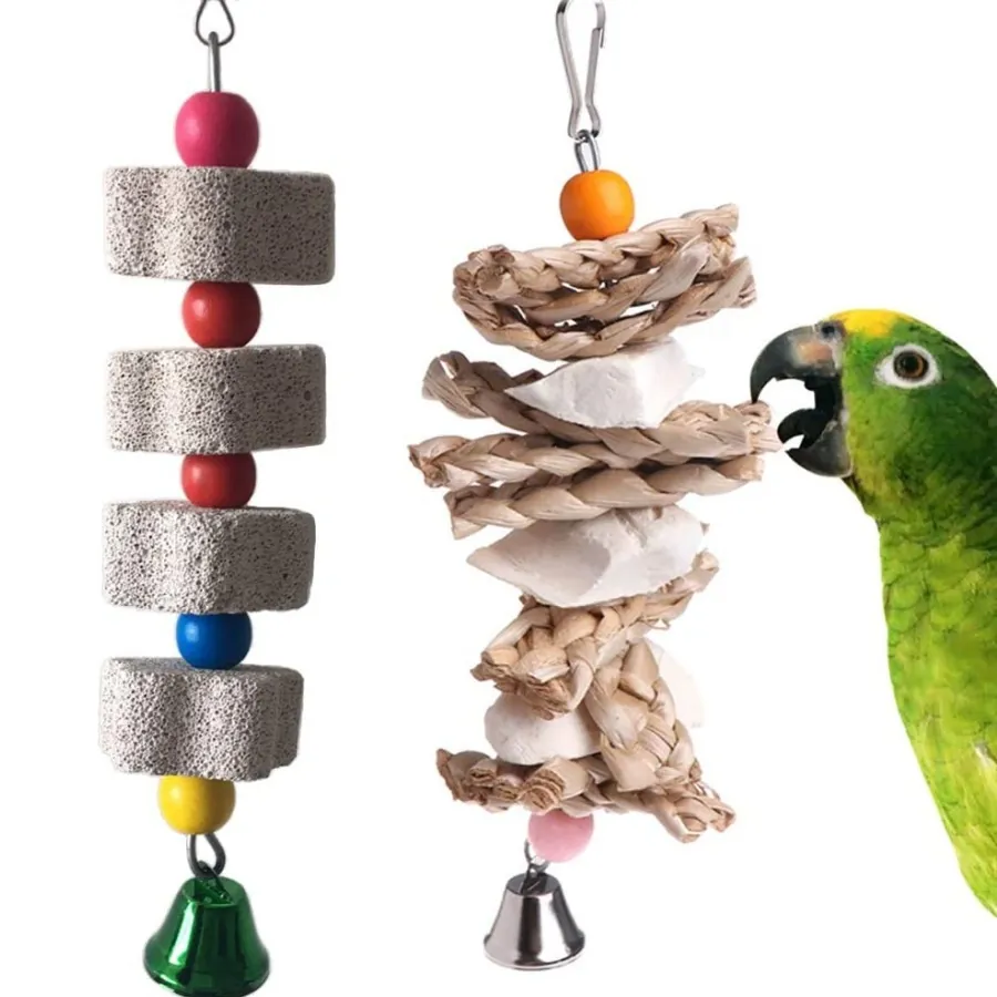 Ensemble de Jouets à Mâcher pour Perroquets Os de Seiche Pierre Minérale Jouets de Broyage de Bec d'Oiseau Accessoires de Cage