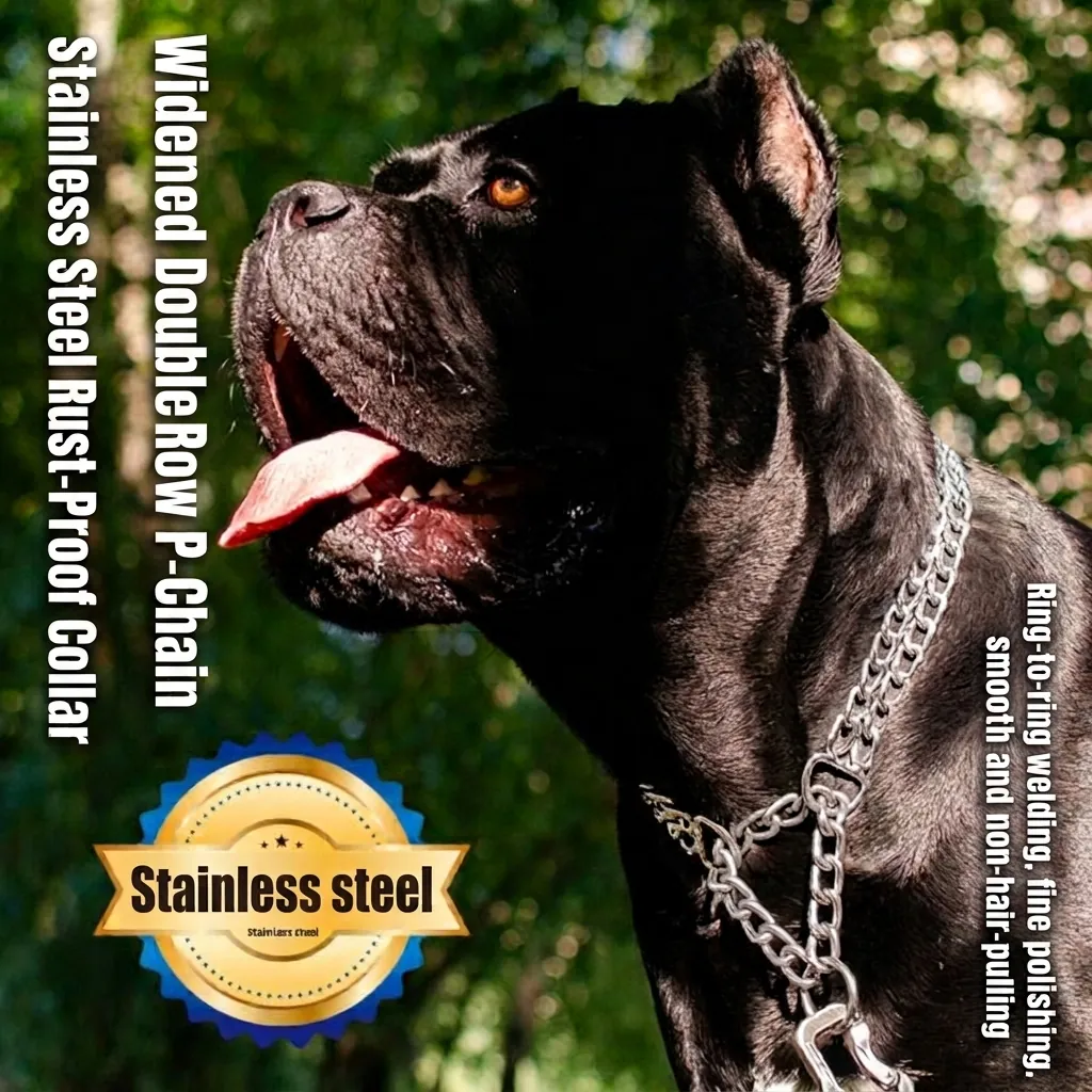Stainless Steel Dog P-Chain Collar Heavy Duty Metal Pet Training Choke Chain For Medium Large Dogs Golden Retriever