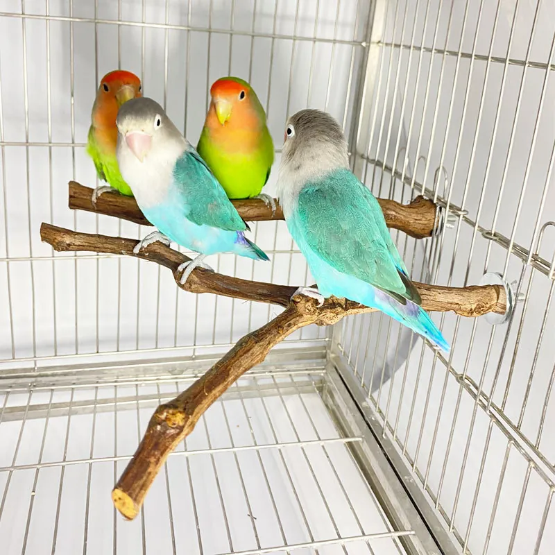 Natürliche Rebenholz Vogelsitzstange Ast Für Papagei Käfig Zubehör Holzstange Klein Mittelgroß Vogel Habitat Dekor
