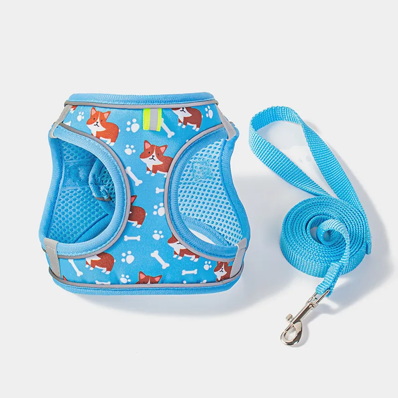 Pet Harness Leash Set Reflective Breathable Mesh Dog Vest Harness For Small Medium Dogs Cats Adjustable Printed Walking Leads