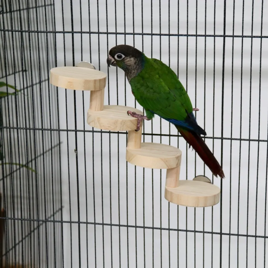 Natuurlijk Massief Houten Vogel Klimladder Wenteltrap Zitstok Voor Papegaaien Hamsters Kauwspeelgoed Kooi Decoratie