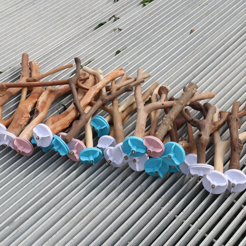 Natural Wood Bird Perch Stand For Parrots Cage Accessory Prickly Ash Grapewood Paw Grinding Rest Stick For Pet Birds