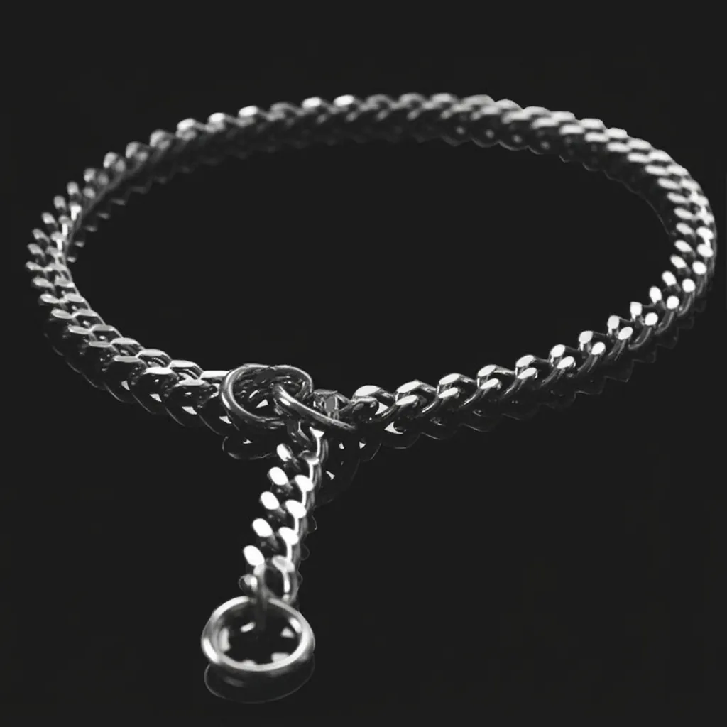 Stainless Steel Dog Training Collar No Pull P-Chain Seamless Welding Polished Heavy Duty Choke Chain For Medium Large Dogs