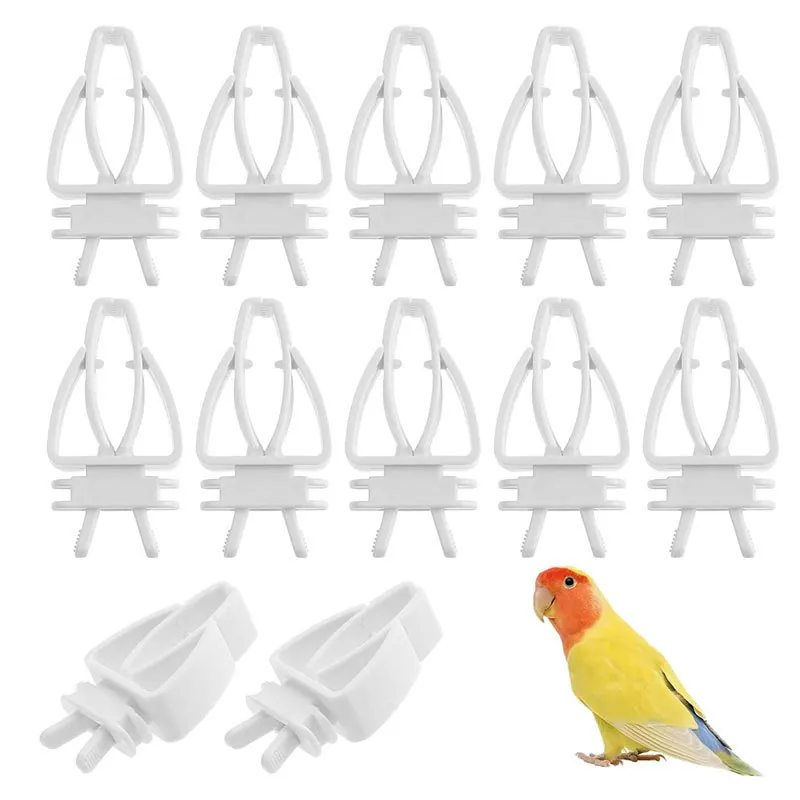 Clip per Cibo per Uccelli Frutta Verdura Supporto per Osso di Seppia per Pappagalli Accessorio per Gabbia per Uccelli in Plastica