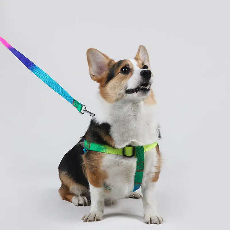 Verstellbares Regenbogen Haustier Leine Und Geschirr Set Strapazierfähiges Polyester Wanderleine Für Kleine Mittlere Hunde Katzen Mit Metallschnalle