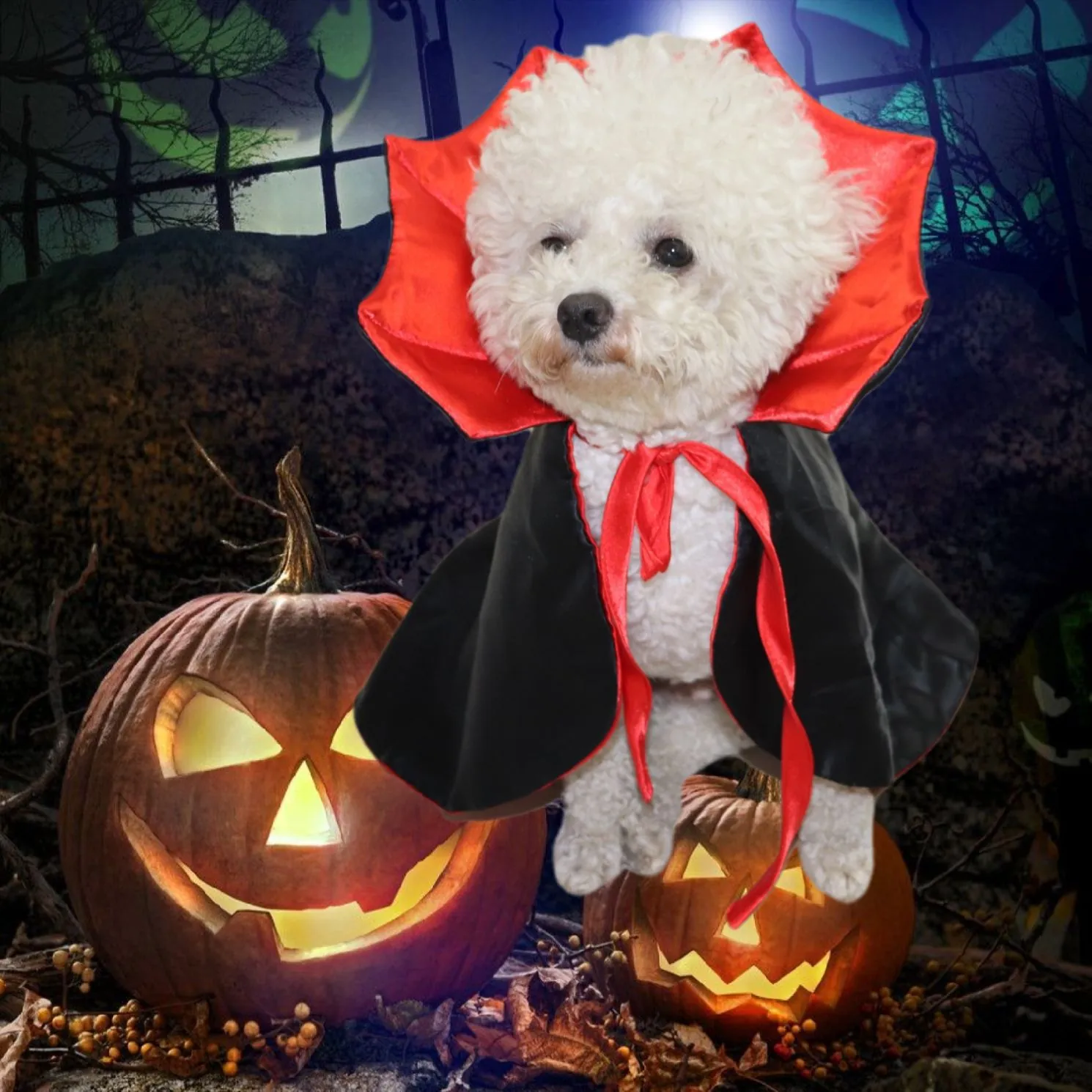 Halloween Haustier Vampir Umhang Stehkragen Verstellbar Satin Kostüm Für Katze Kleiner Hund Rollenspiel Festliche Party Kleidung