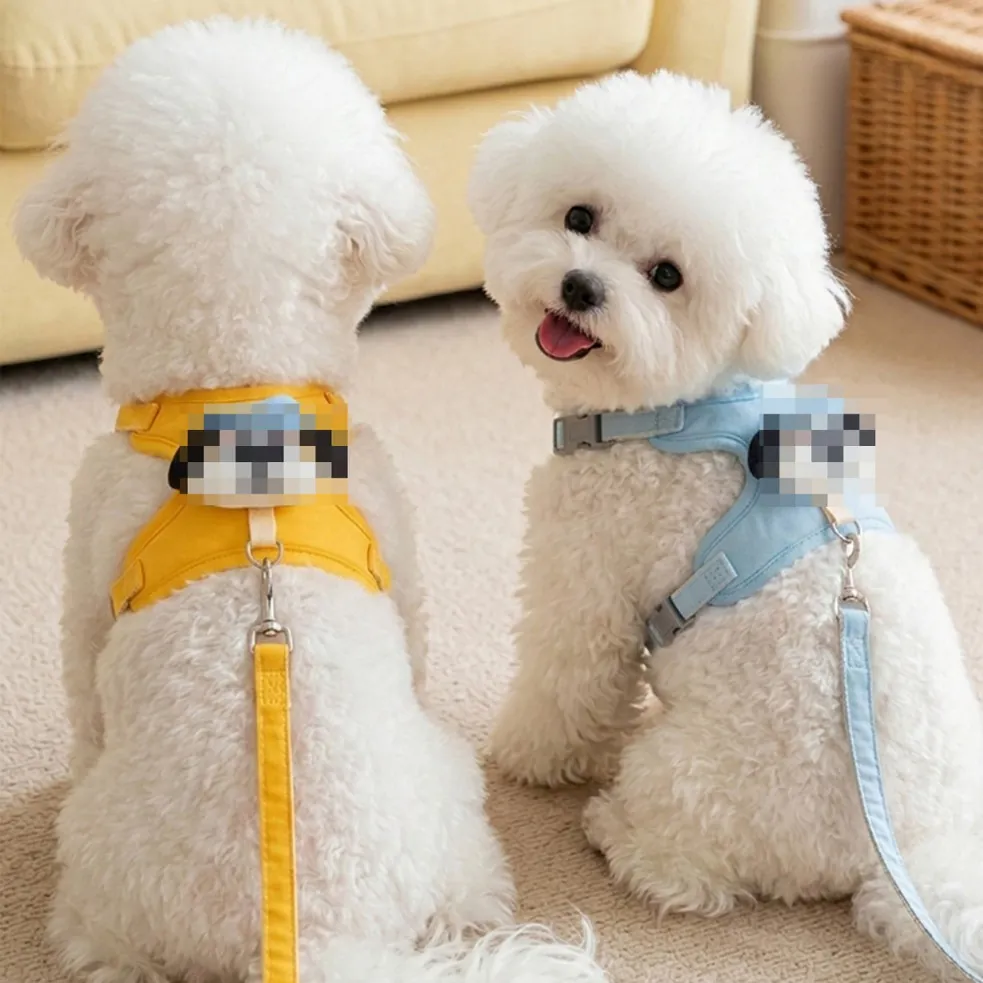 Breathable Polyester Cartoon Dog Harness Leash For Small Dogs Teddy Bichon Adjustable Vest Style Pet Walking Traction Rope