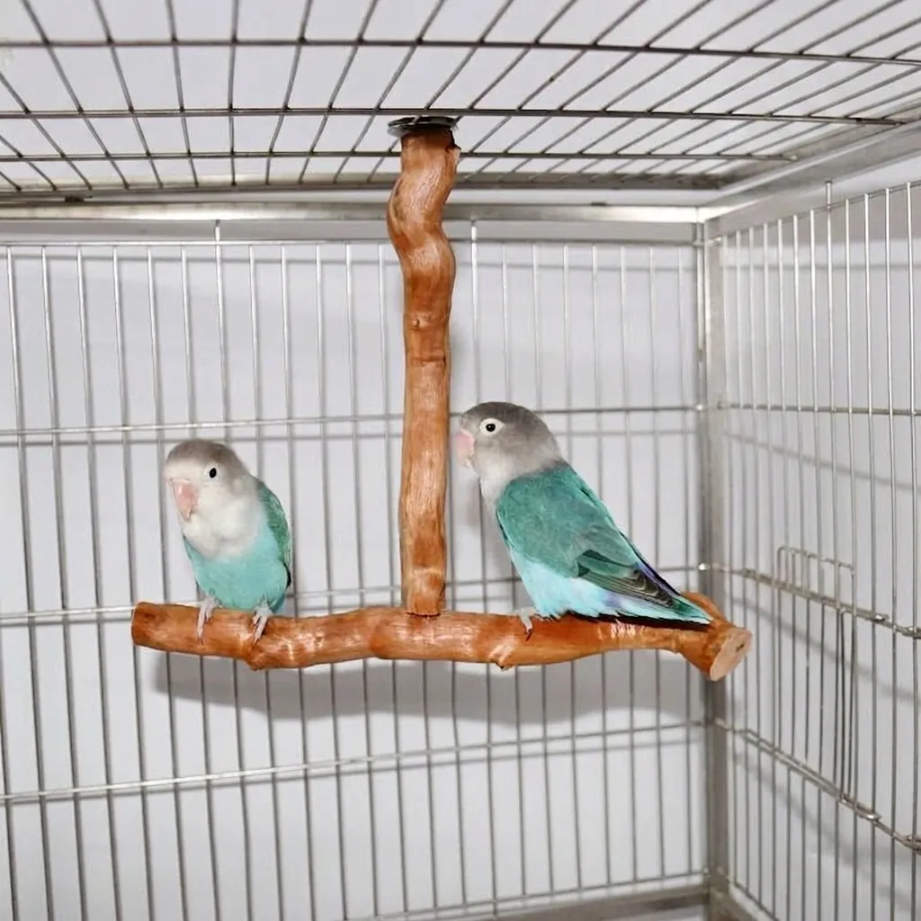 Vogelsitzstange T-Form Naturholz Entrindet Papagei Spielzeug Sitzstange Für Käfig Kleine Mittlere Vögel Einfache Installation Zubehör