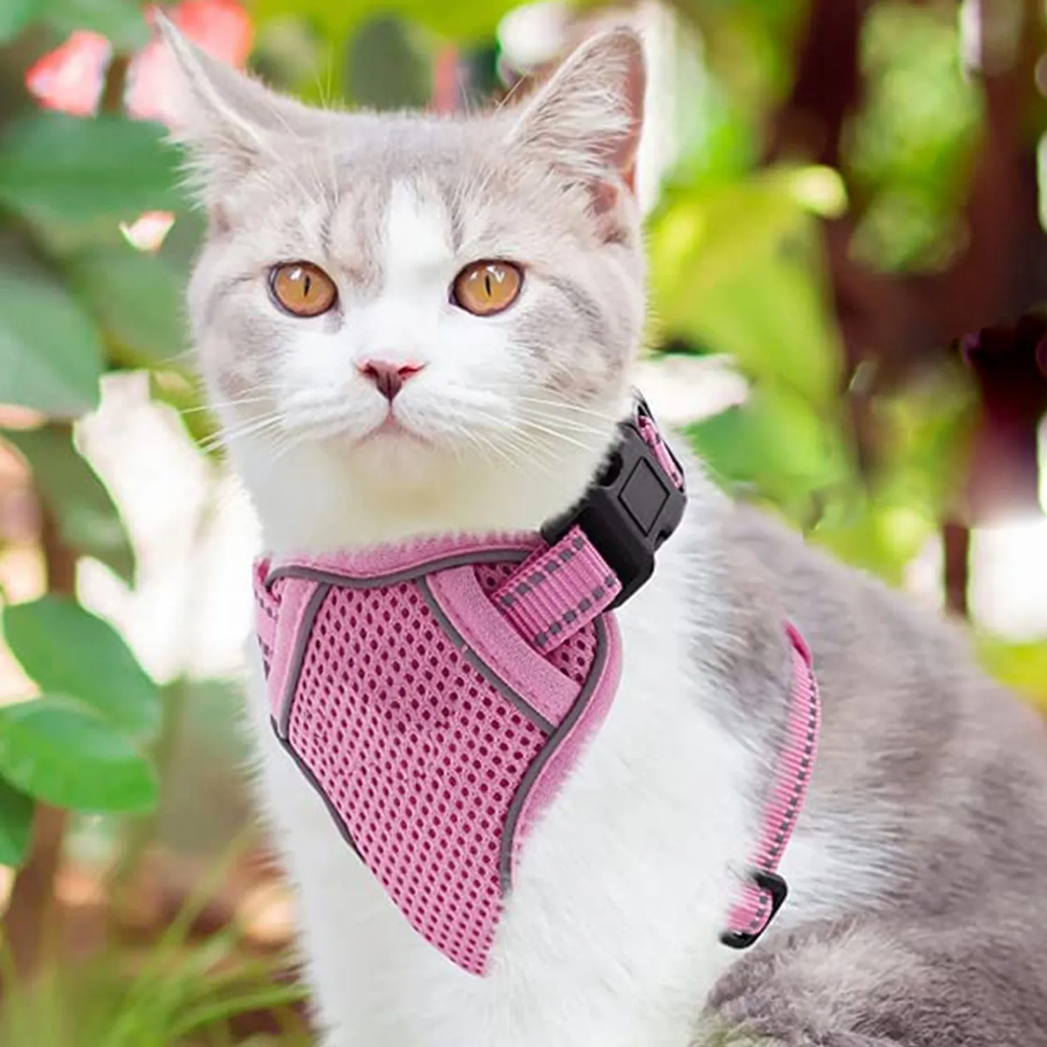 Harnais et Laisse pour Chat en Maille Réfléchissante Ensemble Respirant Réglable Veste pour Petits Chiens Animaux Anti-Évasion