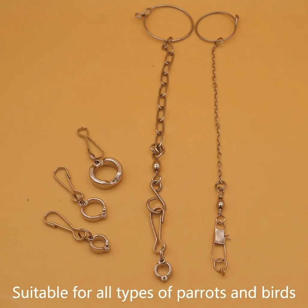 Roestvrij Staal Papegaai Pootring Open Voetring Ketting Voor Vogel Valkparkiet Zonparkiet Monniksparkiet Training Anti-Verlies Metalen Accessoires