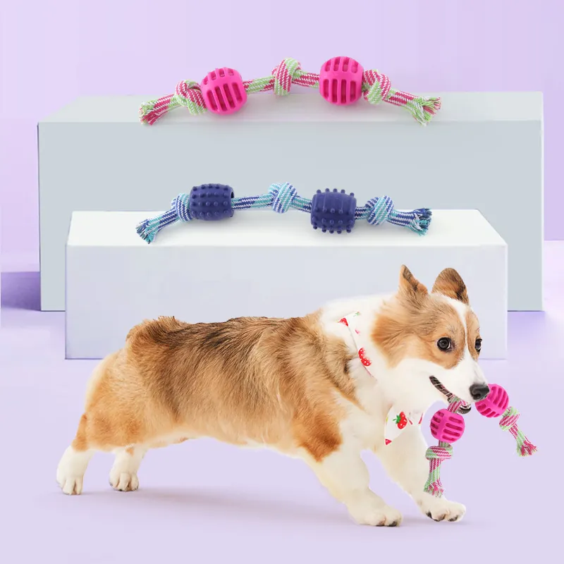 Durable Dog Cotton Rope Chew Toy with TPR Spiky Molar Balls Double Knot Braided Interactive Teething Toy for Small Medium Dogs
