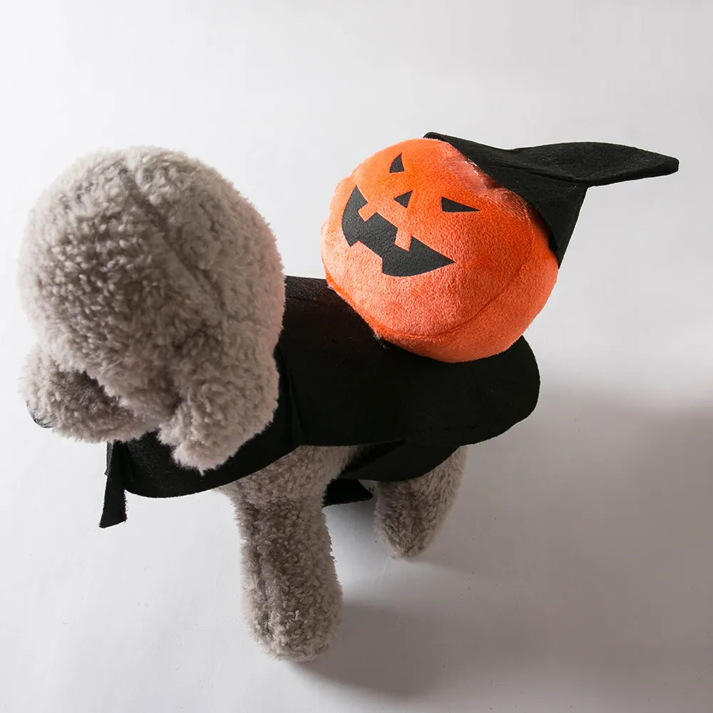 Halloween Haustier Reiter Kostüm Lustig Kürbis Geist Stereoskopische Kleidung Für Kleine Hunde Katzen Welpen Kätzchen Party Festliche Dressing Polyester Outfit