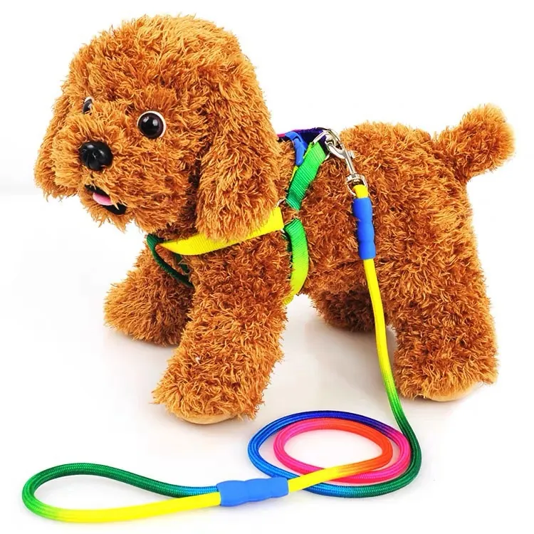 Laisse et Harnais en Nylon Dégradé Arc-en-ciel Ensemble de Corde de Traction Réglable pour Petits Chiens Teddy Extérieur
