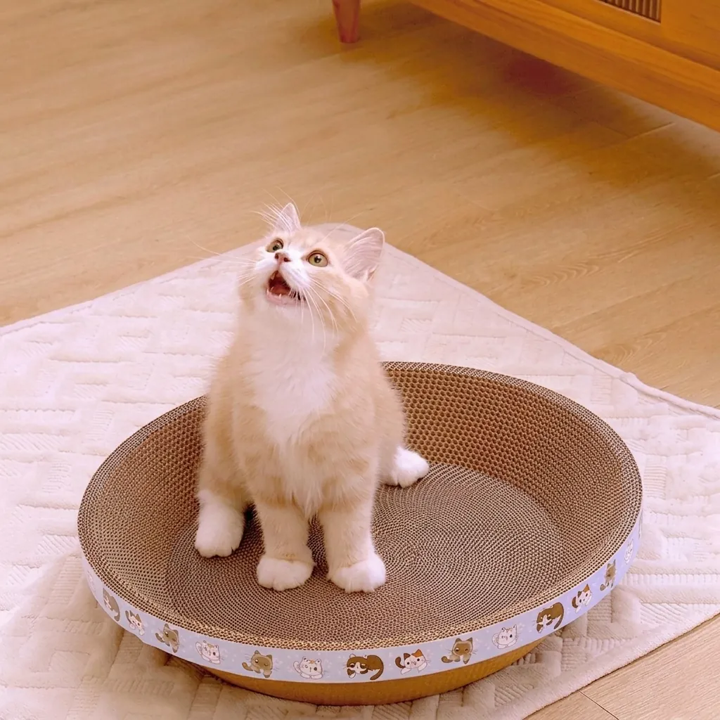 Runder Schüsselförmiger Katzenkratzbaum Bett Hochdichte Wellpappe Kratzbrett Langlebiges Kätzchen Spielzeug Katzenkratzer Lounge
