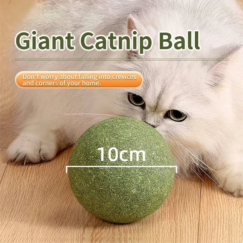 Natural Compressed Catnip Ball Toy Giant 10cm Catnip Ball For Cats Teeth Cleaning Hedgehog Pumpkin Shape Kitten Interactive Toy