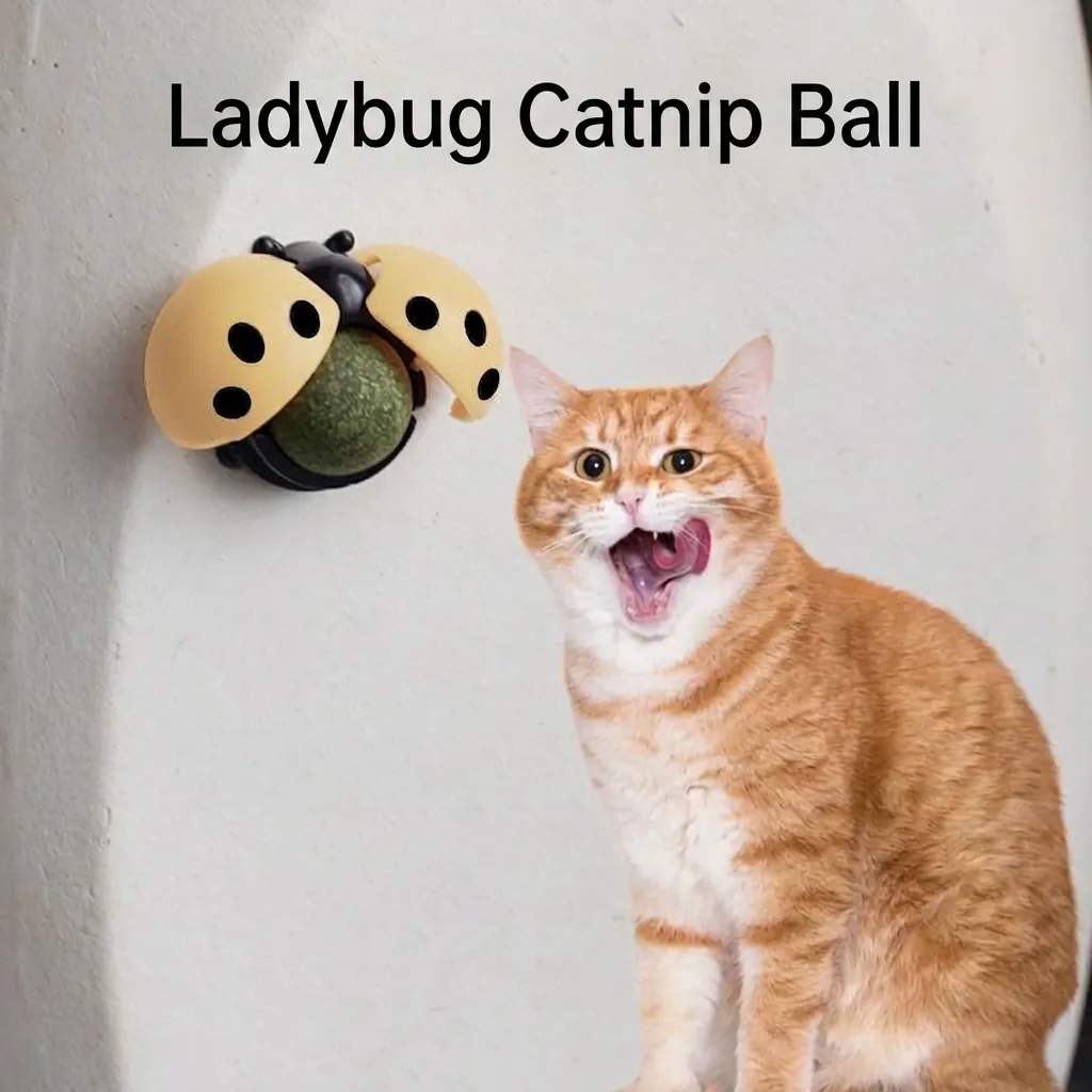 Wandmontierte Katzenminze Ball Spielzeug Marienkäfer Igel Kürbis Avocado Form Rotierendes Katzenspielzeug Zur Zahnreinigung Angstlinderung Haustier Zubehör