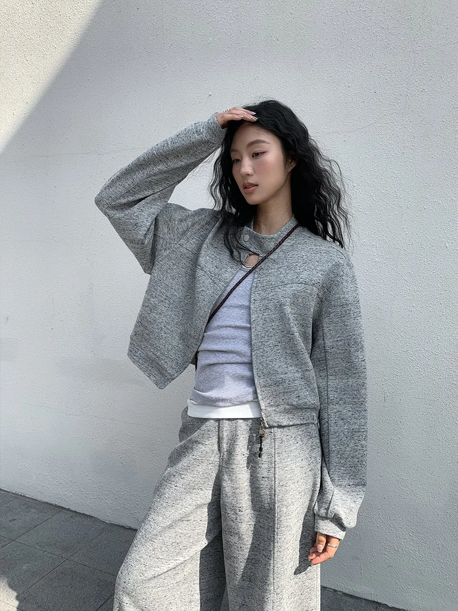 Women's Minimalist Urban Casual Short Zipper Sweatshirt Jacket Stand Collar Long Sleeve Cotton Blend Cropped Cardigan Coat