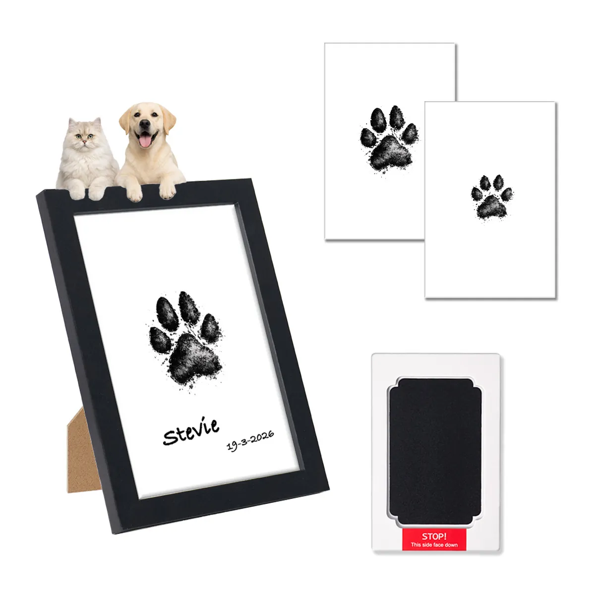 Kit Cornice Foto Commemorativa Impronta Zampa Cane Gatto Fai Da Te Legno Con Tampone Inchiostro Senza Contatto Souvenir Casa