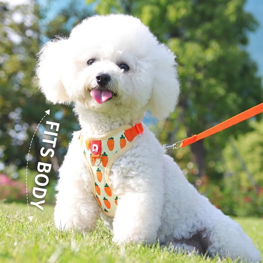 Breathable Mesh Small Dog Harness And Leash Set Adjustable Vest Style Carrot Avocado Strawberry Printed Puppy Pet Chest Strap