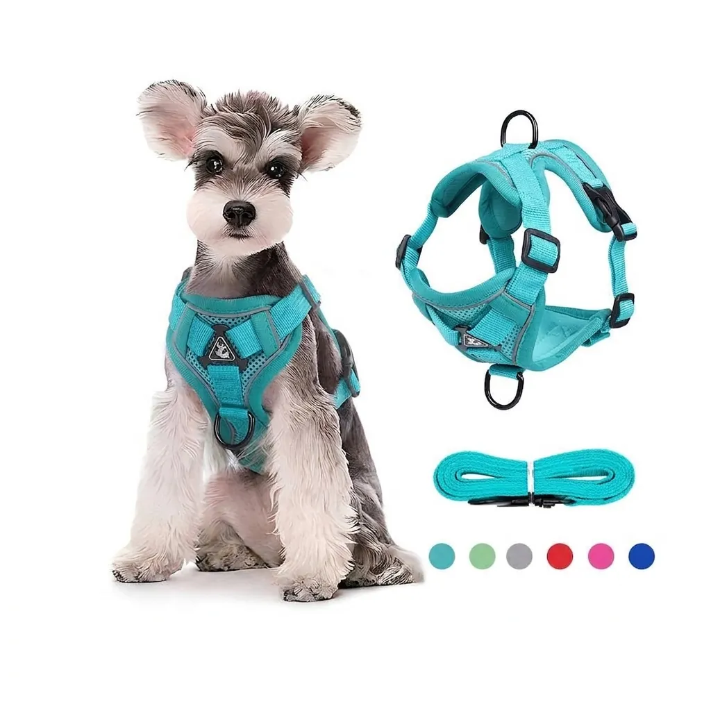 Reflektierendes Atmungsaktives Mesh Hundegeschirr Und Leine Polyester Weste Stil Verstellbarer Haustier Brustgurt Für Kleine Hunde Katzen