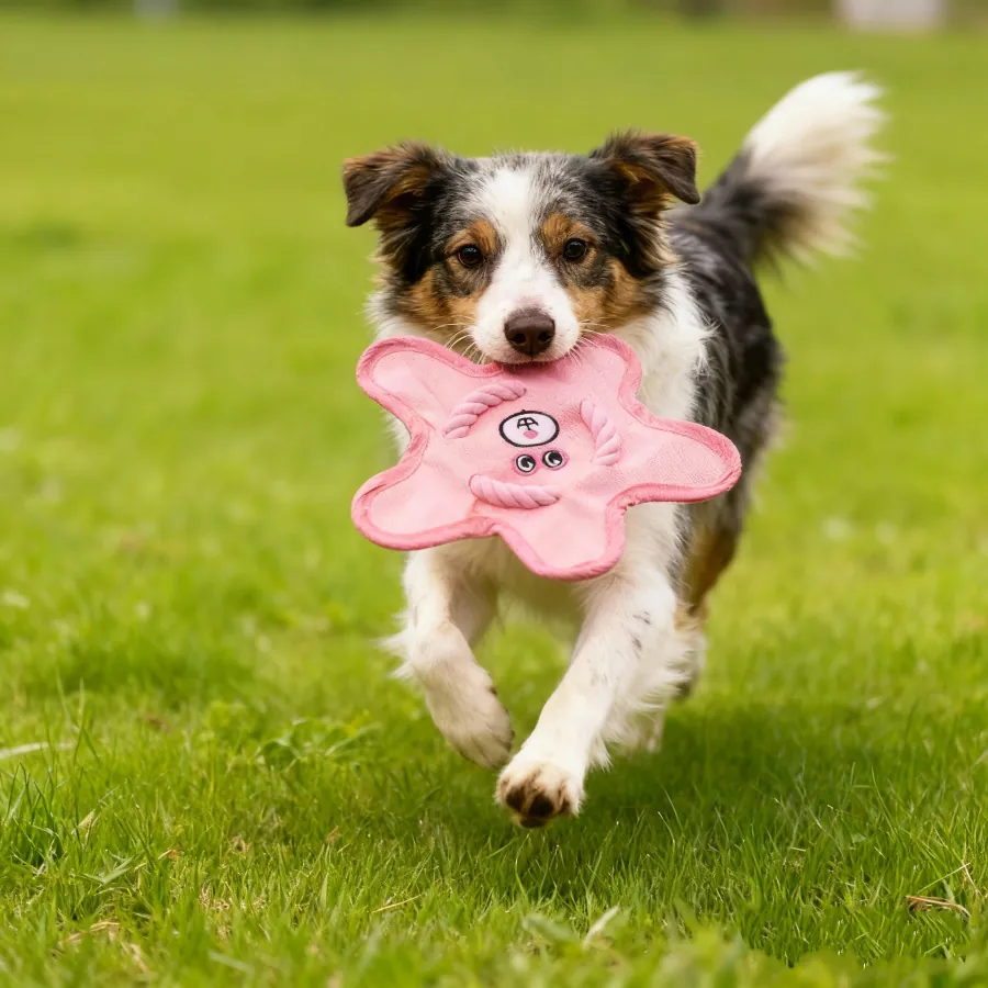 Jouet Frisbee Siffleur pour Chien en Tissu Oxford Étoile Jouet à Mâcher Interactif Papier Froissé pour Chiots