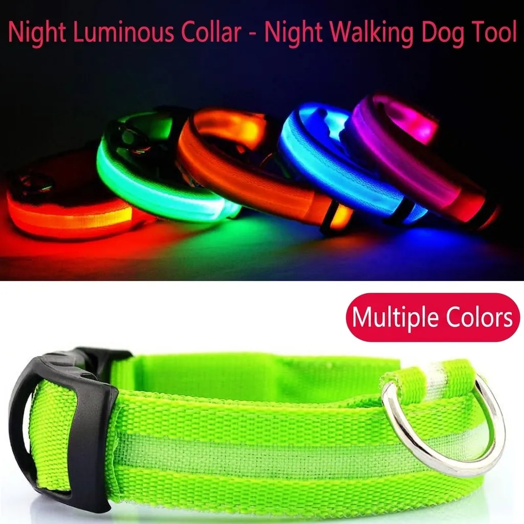 Collier Lumineux LED pour Animaux de Compagnie Chiens Chats Polyester Ajustable Sécurité Nocturne Promenade Lumineuse Chiot Chatton Collier Accessoires