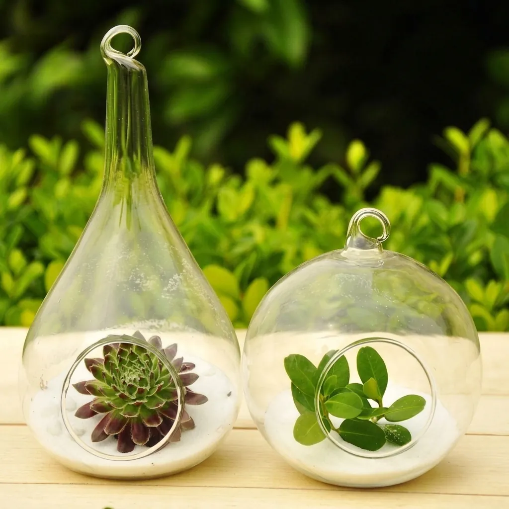 Hanging Glass Vase Clear Globe Plant Terrarium Nordic Style Handcrafted High Borosilicate Glass Micro Landscape Decorative Container Home Decor Accents