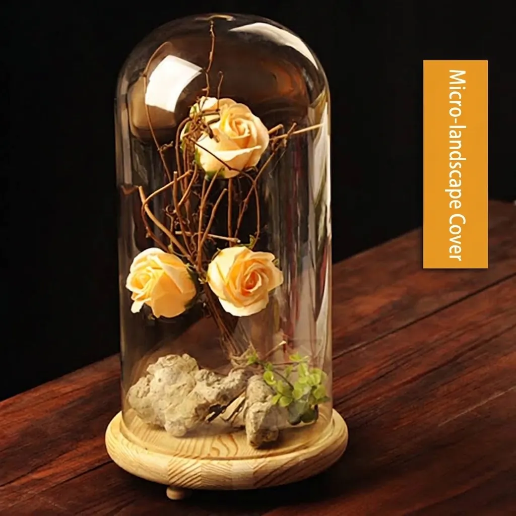 High Borosilicate Glass Landscape Cover DIY Micro Landscape Cloche With Wooden Base Clear Display Dome Creative Birthday Gift Home Decor