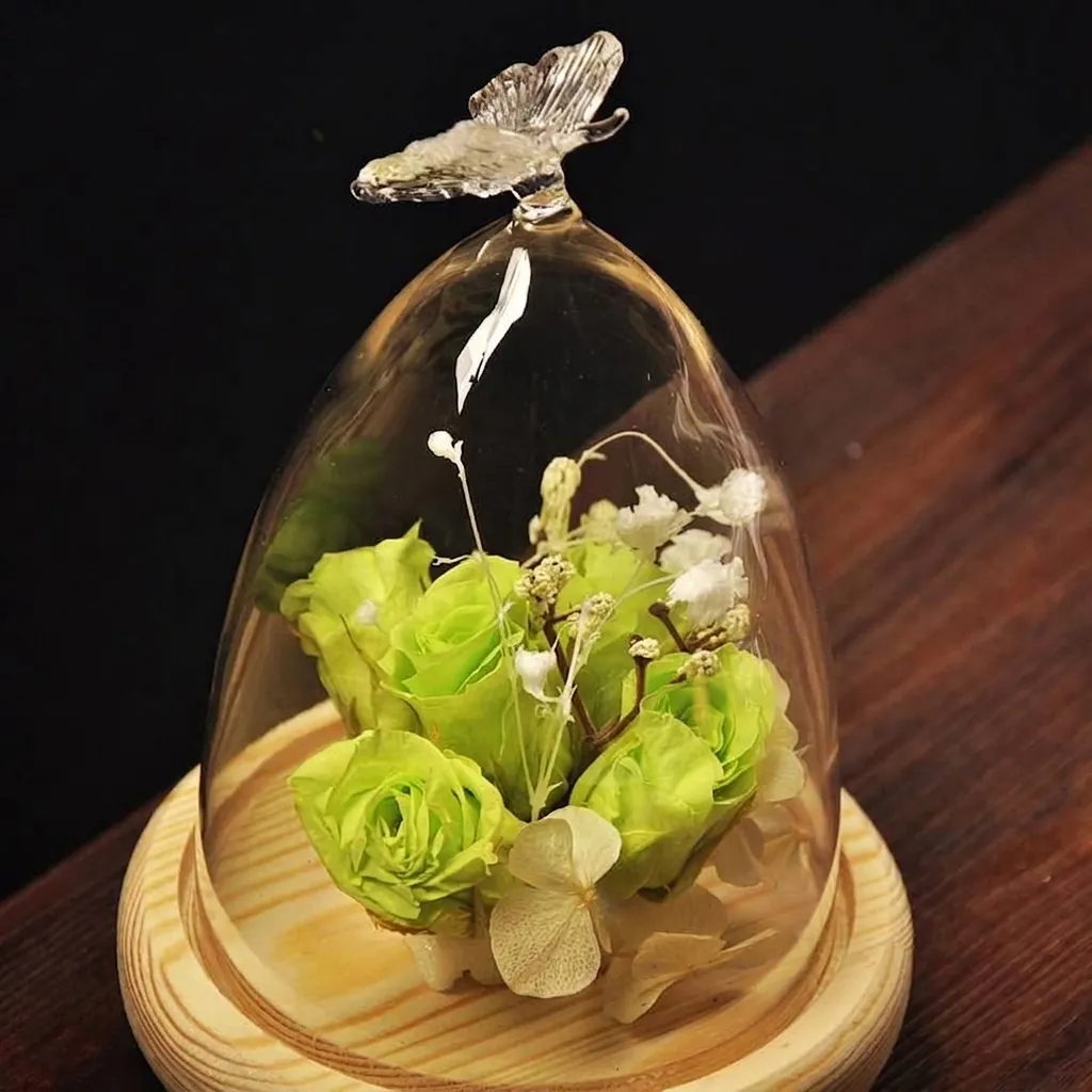 Butterfly Handle Borosilicate Glass Dome Cloche With Wood Base Clear Display Case For Micro Landscape Home Decor Wedding Birthday Gift