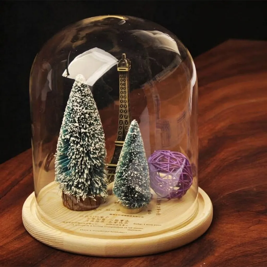 Creative Clear Borosilicate Glass Display Dome Cloche With Natural Wood Base For DIY Micro Landscape Home Decor Ornament
