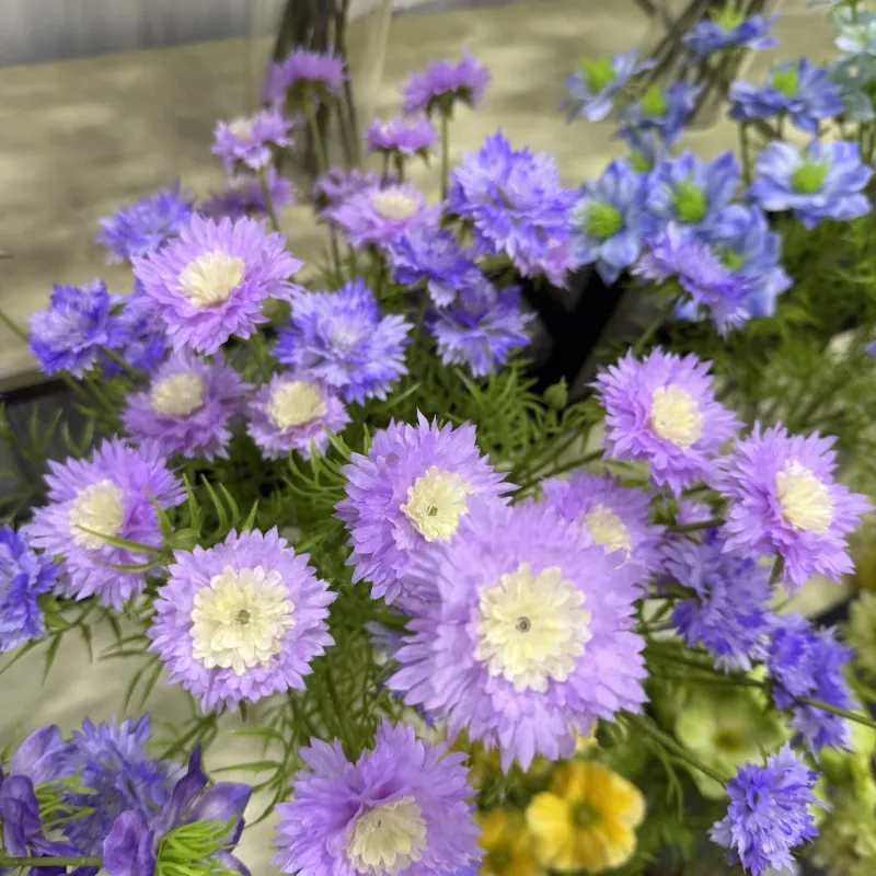 Realistische 5 Köpfe Künstliche Kornblume Satin Stoff Blume Stiel Für Heim Hochzeit Hotel Party Dekoration Blumenarrangement Strauß