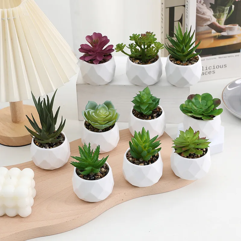 Plante Succulente Artificielle en Pot Verdure Simulée en Pot Plastique Diamant Blanc Décor Bureau Maison