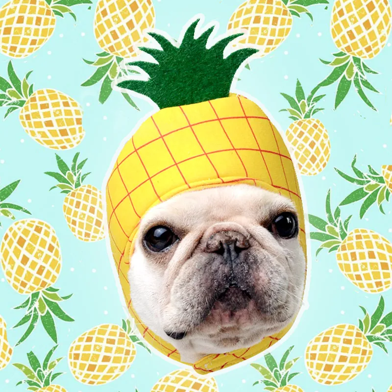 Kreativ Ananas Haustiermütze Lustige Hund Katze Kostüm Verstellbar Gelb Frucht Zubehör Für Partys Fotos