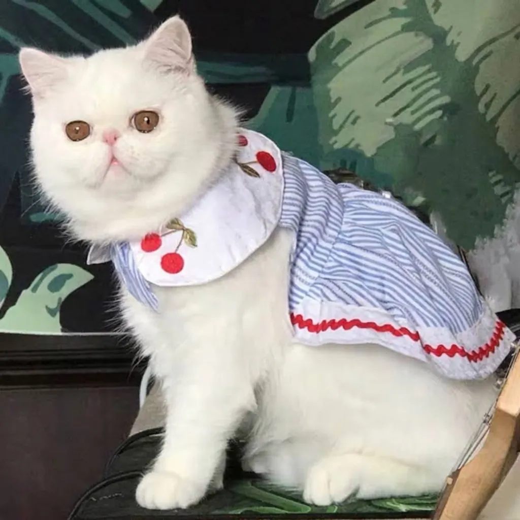 Pet Dog Cat Summer Dress Cherry Embroidery Striped Pattern Thin Breathable Pet Clothing For Small Medium Dogs Puppies Kittens