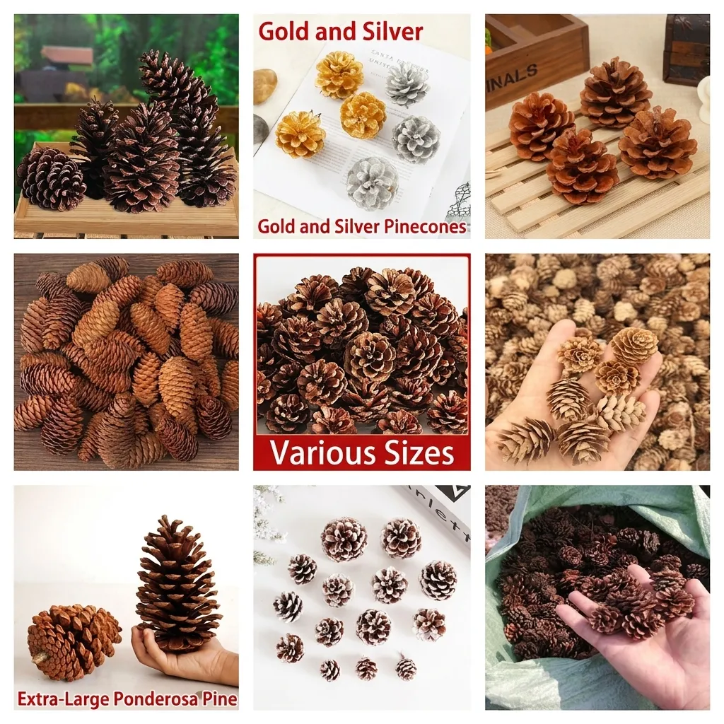 Natural Dried Pinecones For Christmas Decoration DIY Crafts Woodland Ornaments For Festive Home Wedding Party Ornaments