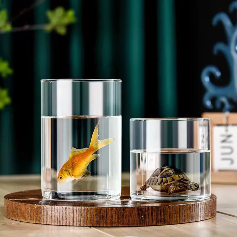 Florero Cilíndrico de Vidrio de Borosilicato para Plantas Hidropónicas Micro Paisaje de Musgo Botella Decorativa Transparente