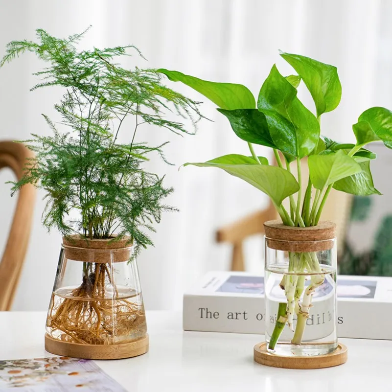 Transparent High Borosilicate Glass Hydroponic Vase Ecological Bottle With Cork And Bamboo Tray For Home Decor