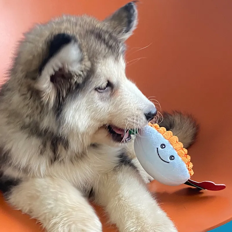 Giocattolo Cigolante per Cani in Peluche Grazioso Granchio Peluche Interattivo Giocattolo da Masticare per Cuccioli Animali Domestici Gioco Quotidiano