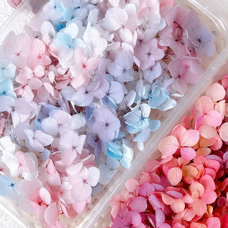 Fiori Secchi di Ortensia Conservata Naturale Pacchetto di Materiale DIY Per Artigianato in Resina Scarpa da Matrimonio Decor