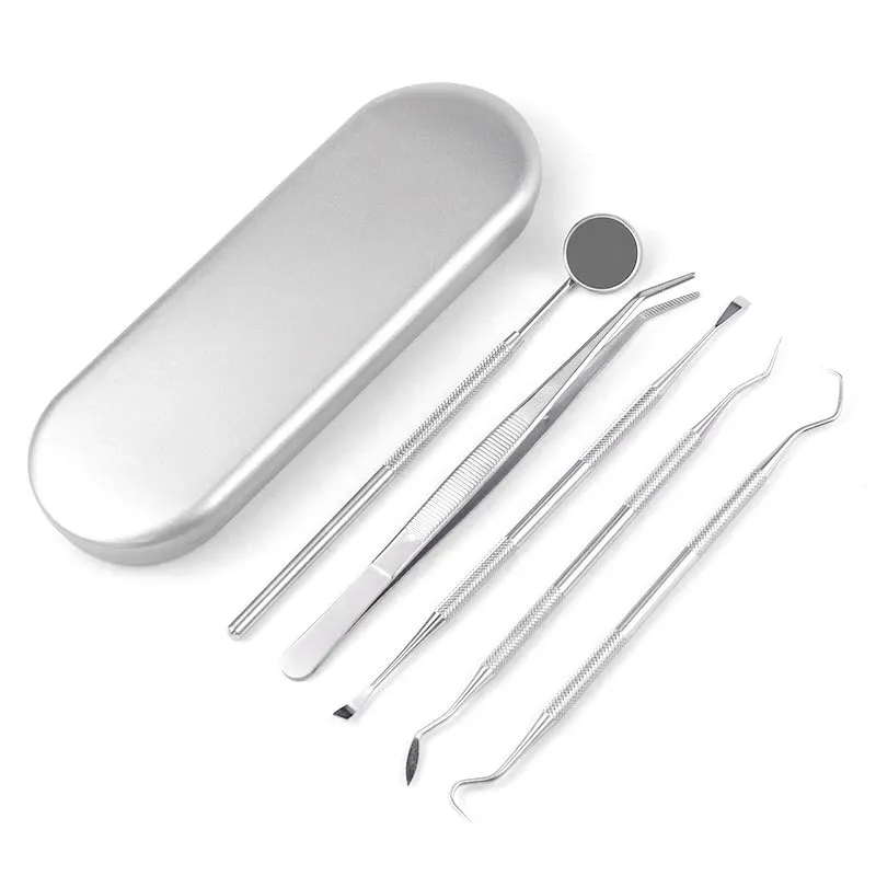 Outil de Retrait de Tartre Dentaire pour Animaux Kit de Nettoyage des Dents en Acier Inoxydable Outil de Soin Bucco-Dentaire pour Chien et Chat
