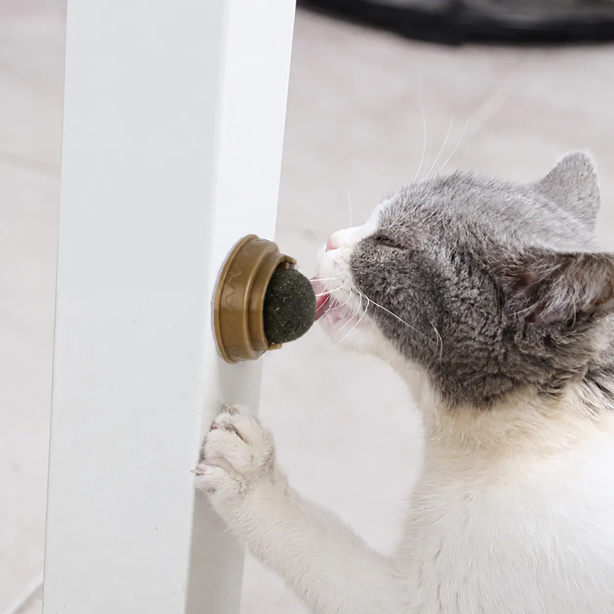 Natural Catnip Ball Toy Rotating Self-Adhesive Teeth Cleaning Molar Ball For Cats Interactive Pet Toys Daily Play