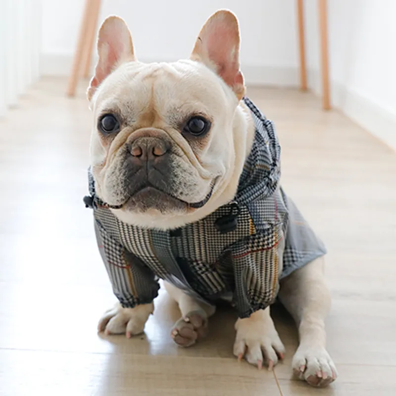 Imperméable pour Chien Imperméable à Capuche Pied-de-poule Poncho de Pluie pour Animal Vêtement de Pluie Respirant pour Petits Chiens Moyens