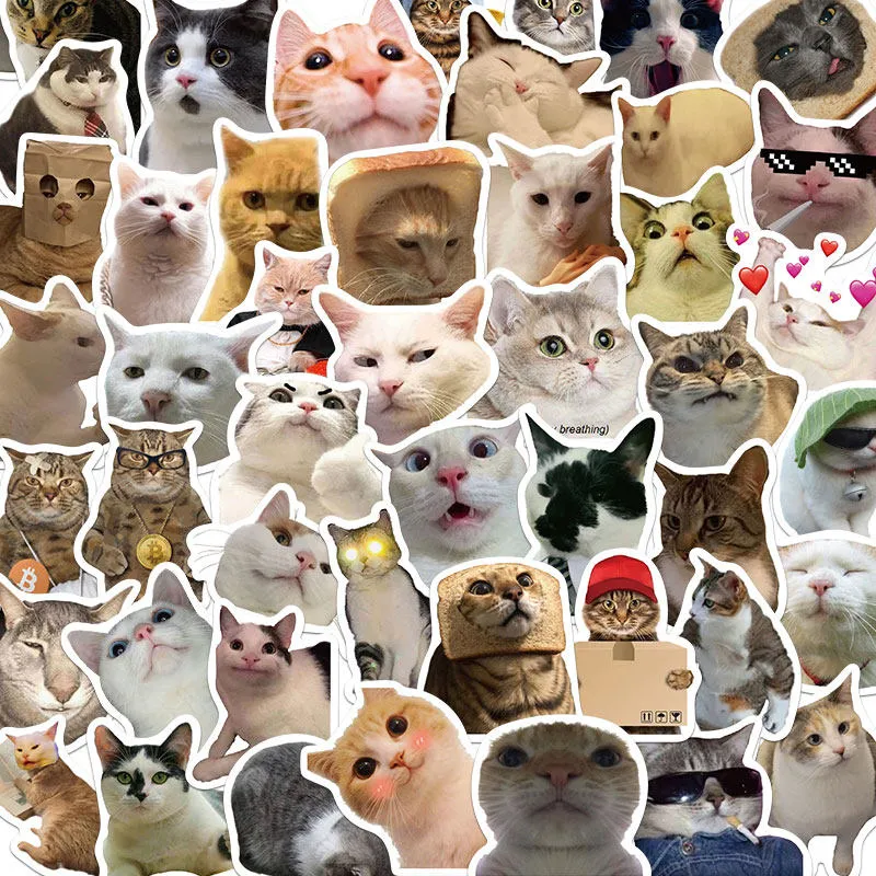 Lustige Katze Meme Aufkleber Wasserdichte PVC Abziehbilder Für Laptop Handyhülle Gepäck Tägliche Dekorative Süße Katze Aufkleber