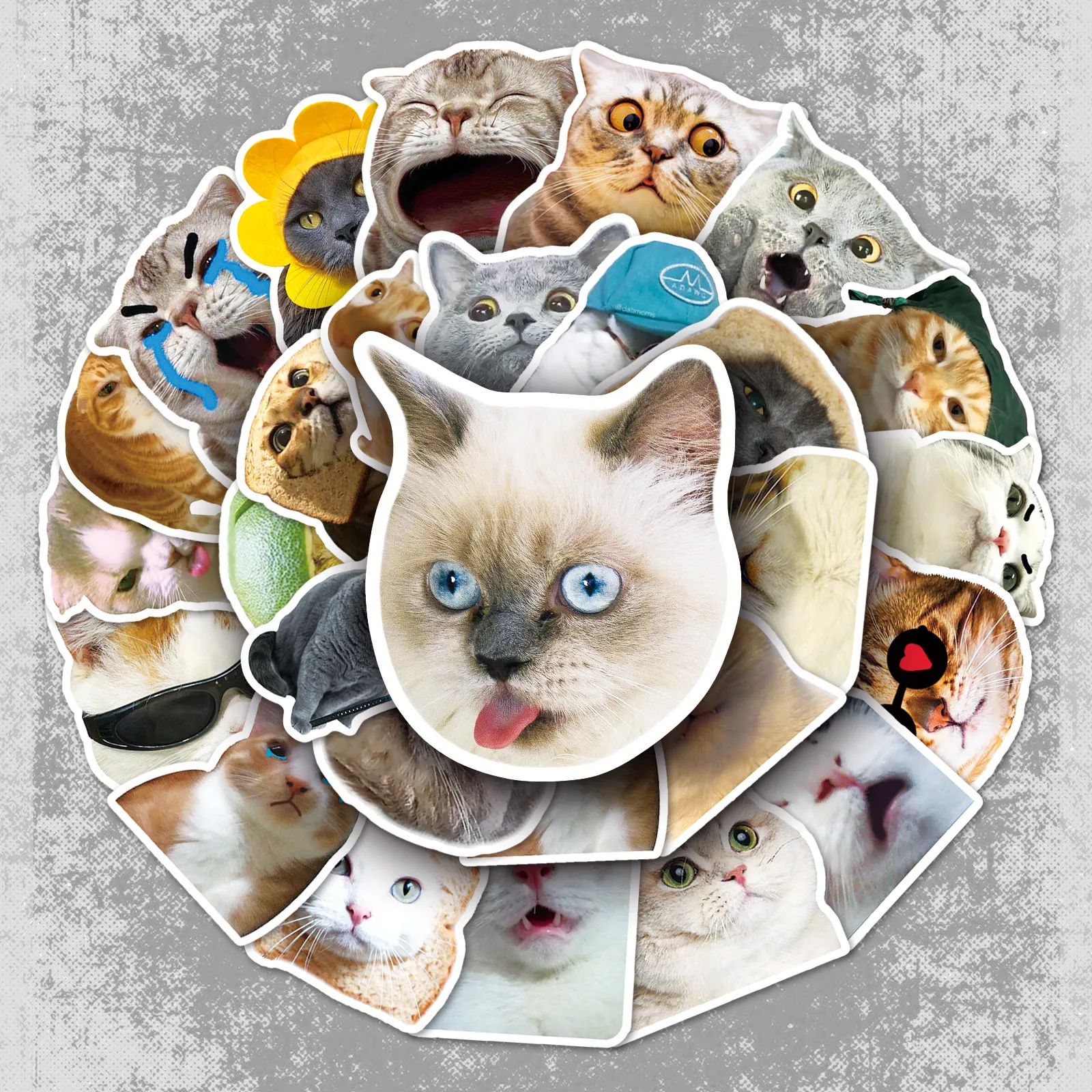 Cute Cat Meme Waterproof PVC Graffiti Stickers Aesthetic Decals For Water Bottle Luggage Laptop Skateboard