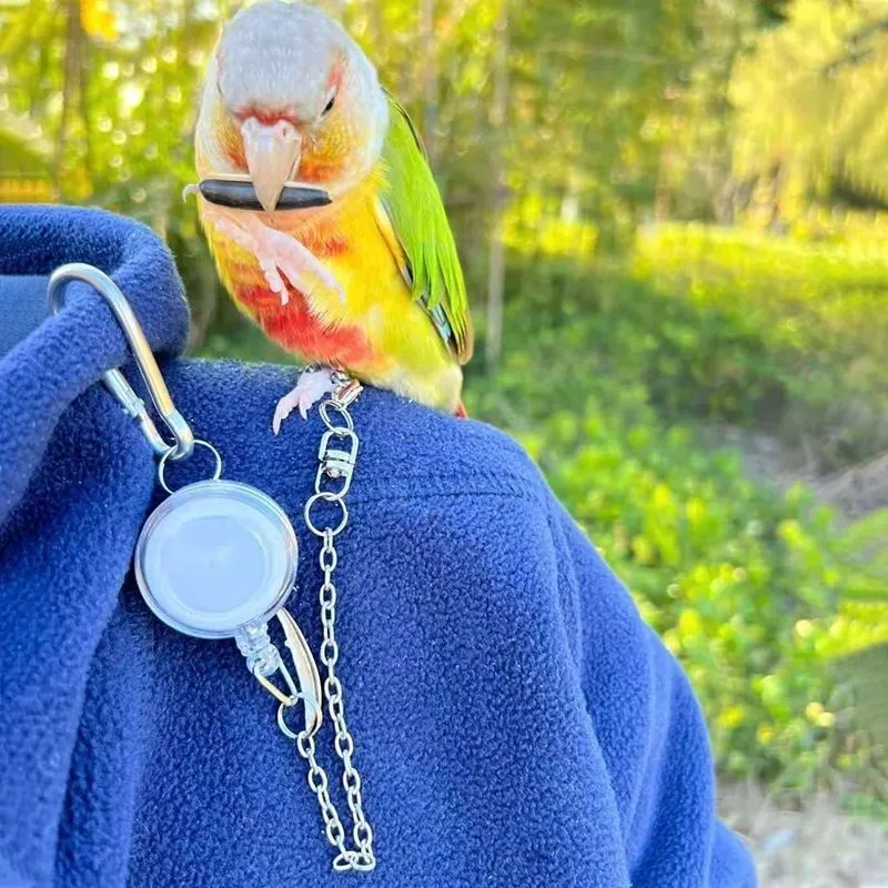 Retractable Adjustable Parrot Squirrel Traction Rope Stainless Steel Chain Flying Leash Small Pet Outdoor Training Lead