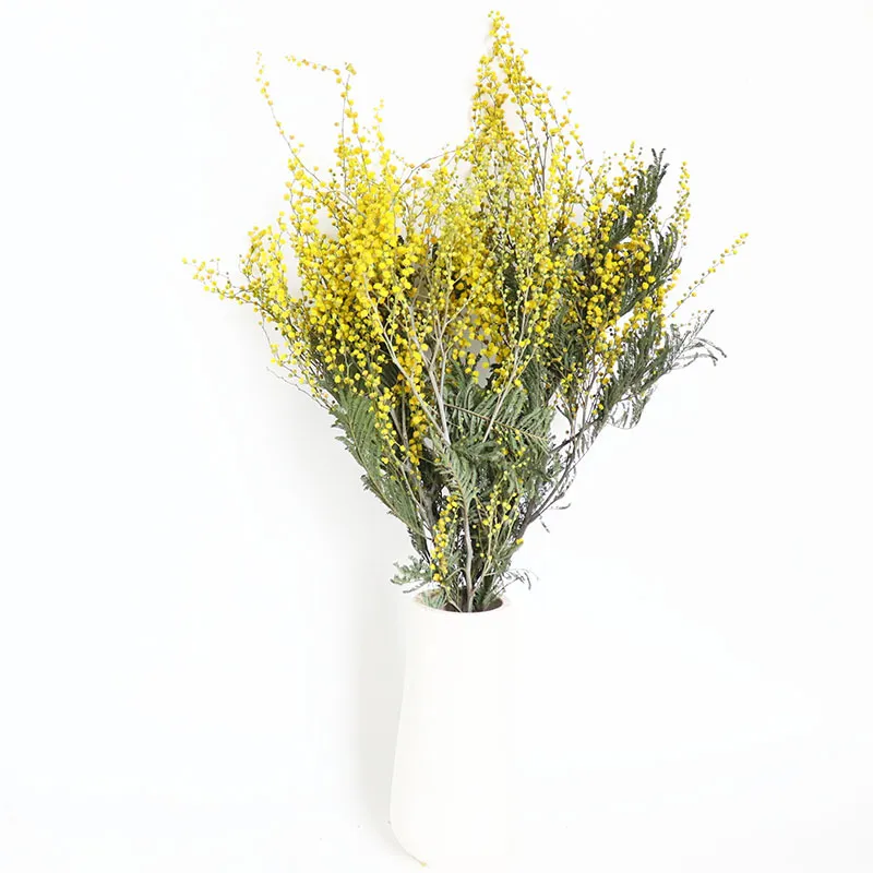 Natural Dried Acacia Flowers Bunch Golden Wattle Bouquet Dried Botanical Plants For Home Decor Christmas Party
