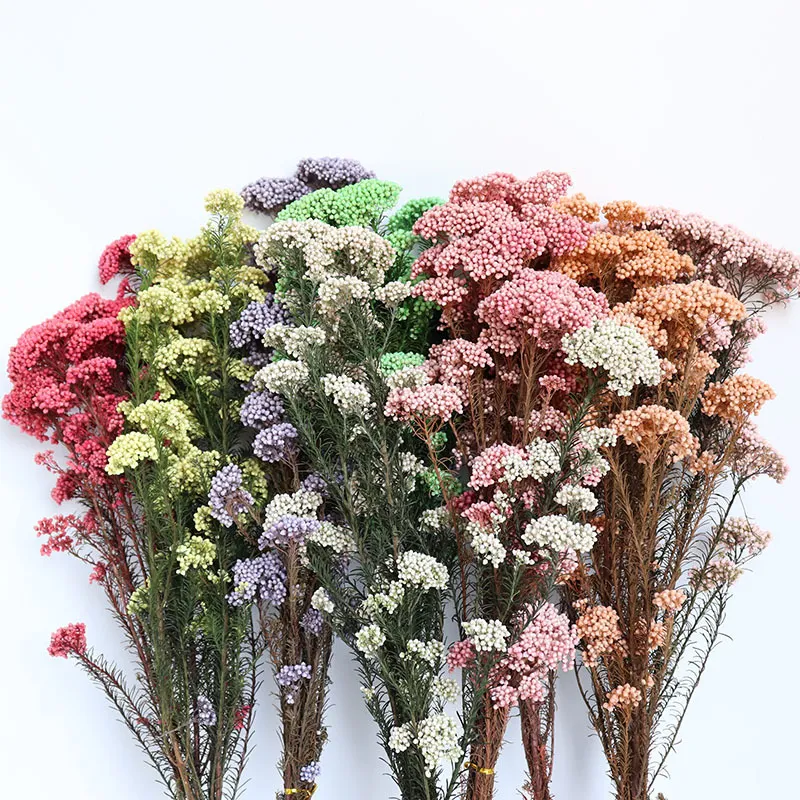 Fiori di Miglio Preservati Bouquet di Fiori Secchi Decorazione Floreale Botanica Naturale Per Casa Matrimonio Fai da Te Artigianato Fotografia Oggetti