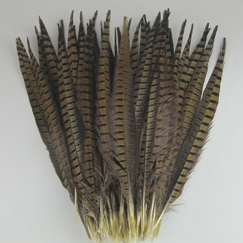 Plumes de Queue de Faisan Naturelles Matériel d'Artisanat DIY Plumage Teint Coloré Pour Performance de Scène Fête de Mariage Accessoires de Décoration Intérieure
