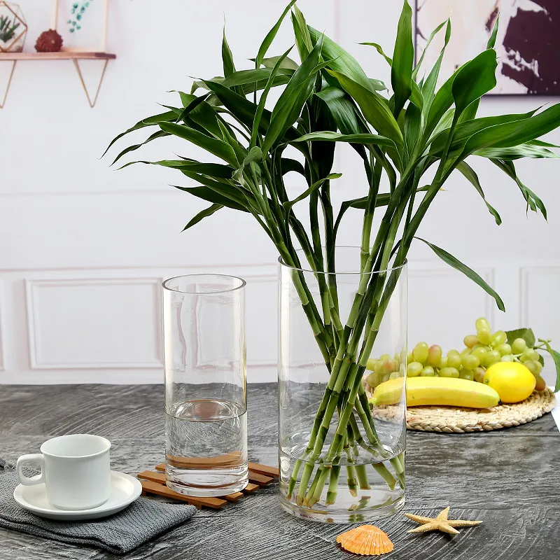 Transparant Glas Bloemenvaas Noordse Cilinder Rechter Buis Duidelijke Vazen Voor Woonkamer Huis Tafel Decor Plant Hydrocultuur